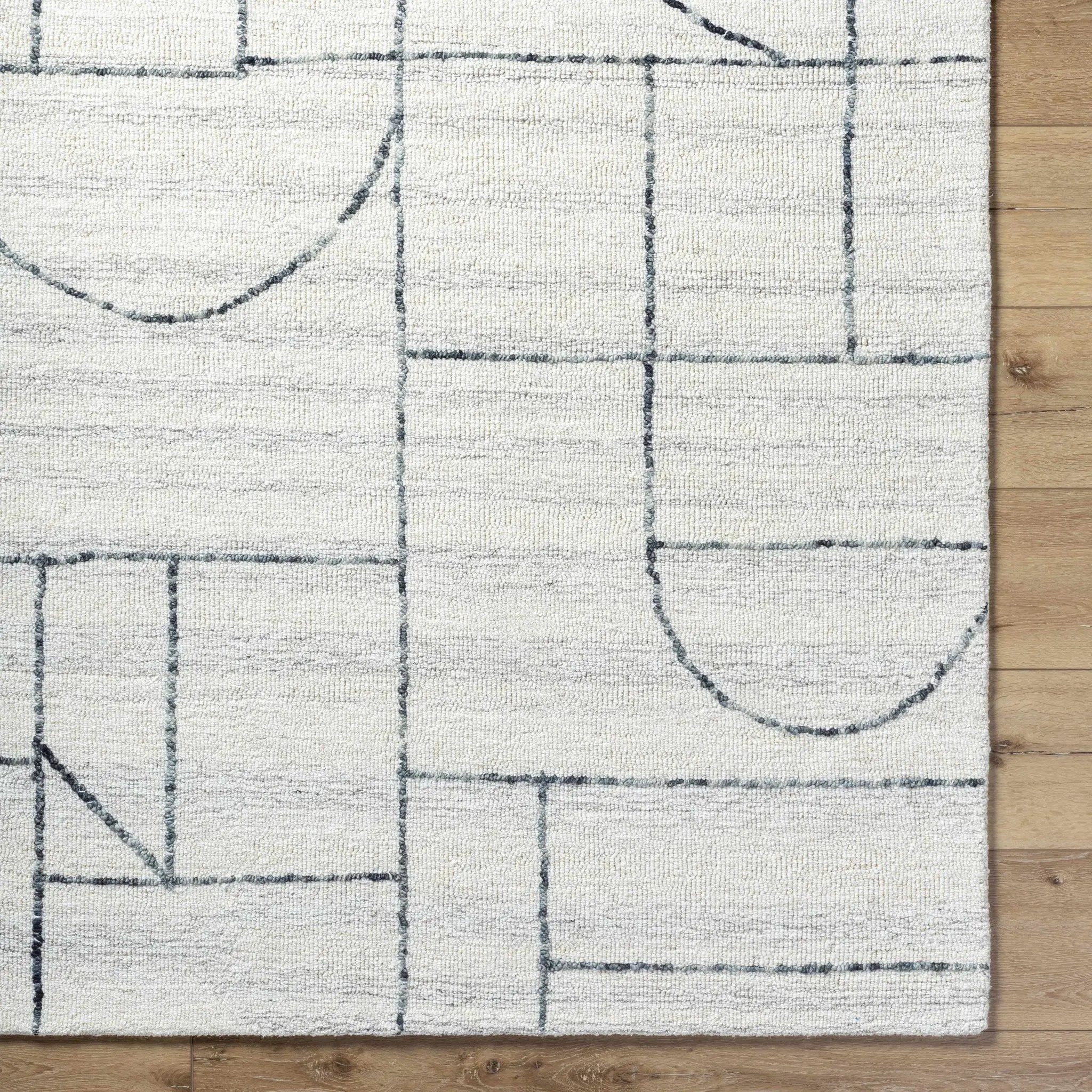 Sanaz Charcoal Area Rug - Clearance by Boutique Rugs