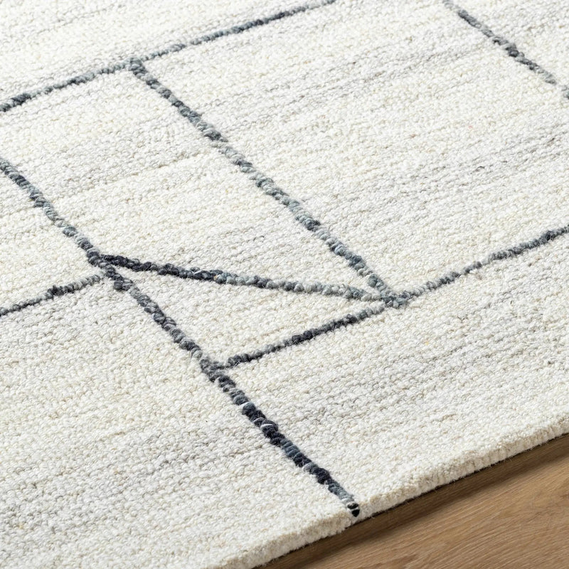 Sanaz Charcoal Area Rug - Clearance by Boutique Rugs