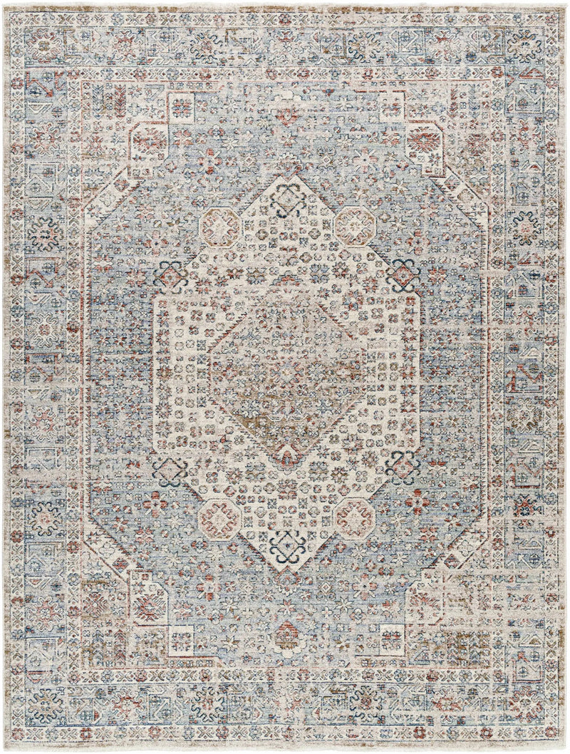 Kalei Beige & Blue Area Rug - Clearance by Boutique Rugs