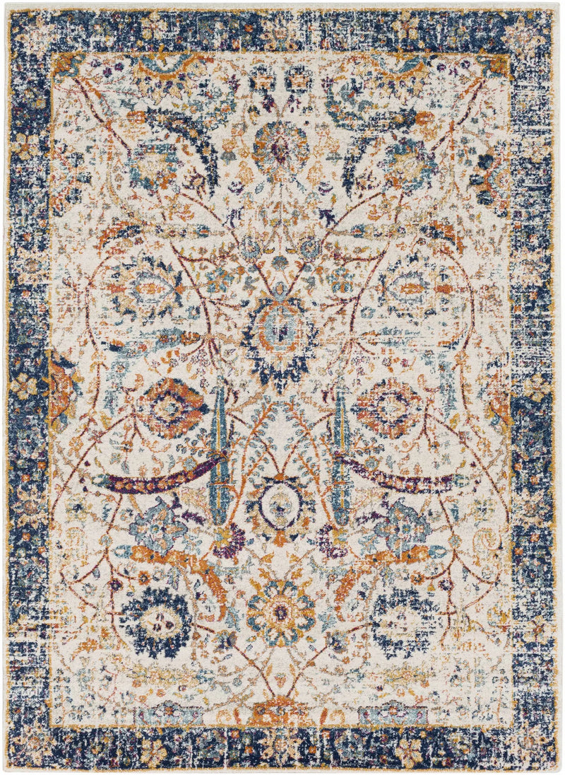 Smyrna Area Rug by Boutique Rugs