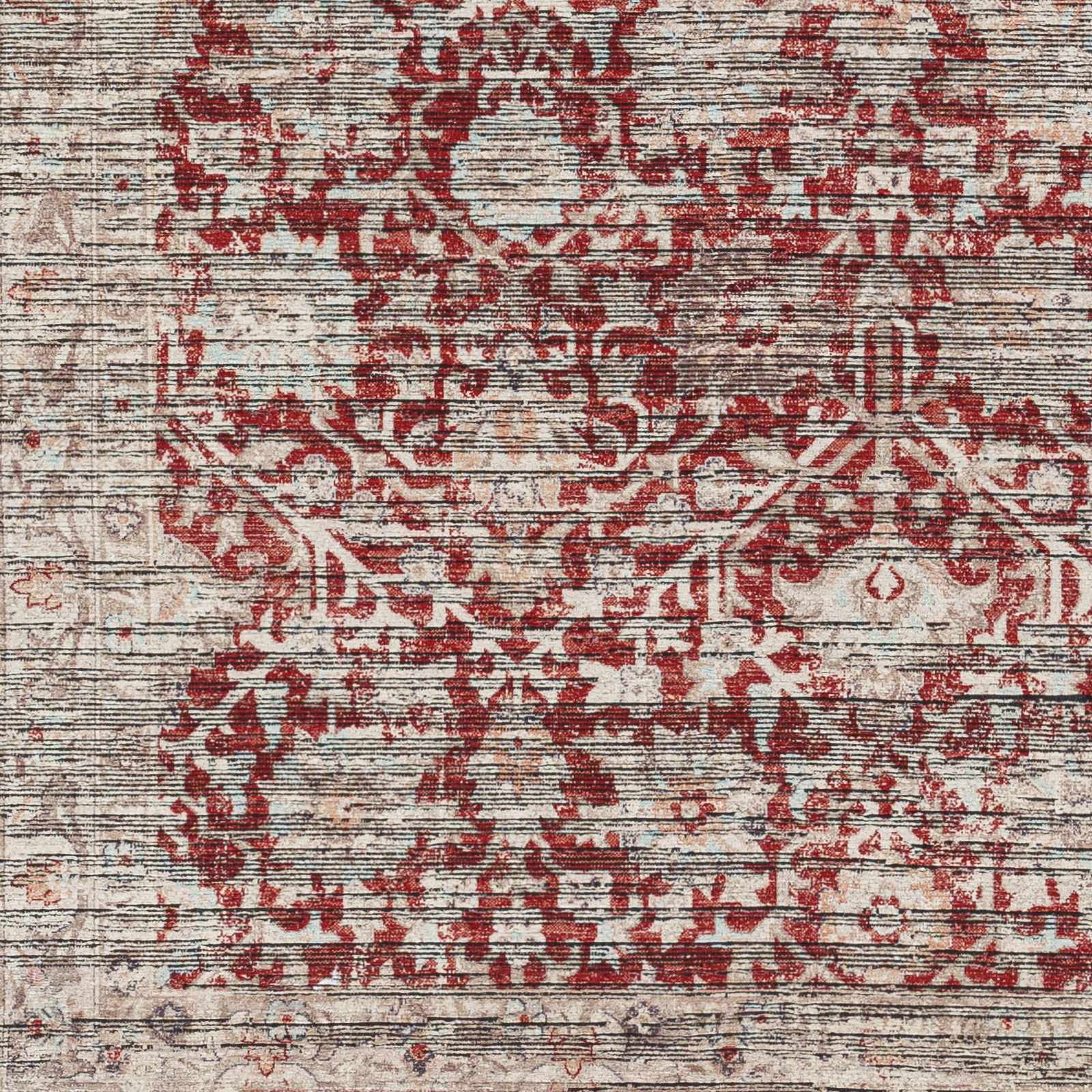 Cathy Area Rug - Clearance by Boutique Rugs