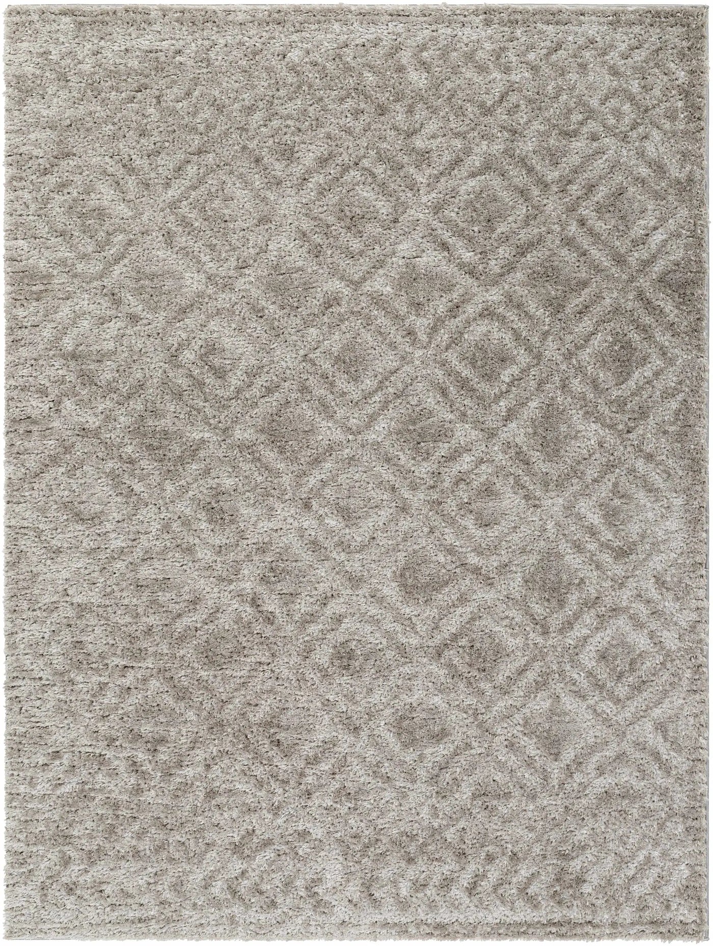 Amnon Area Rug by Boutique Rugs