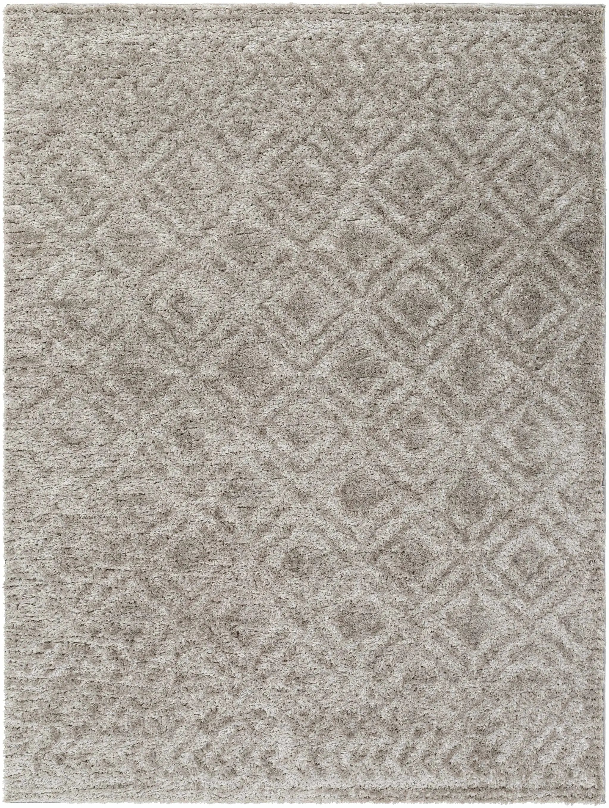 Amnon Area Rug by Boutique Rugs