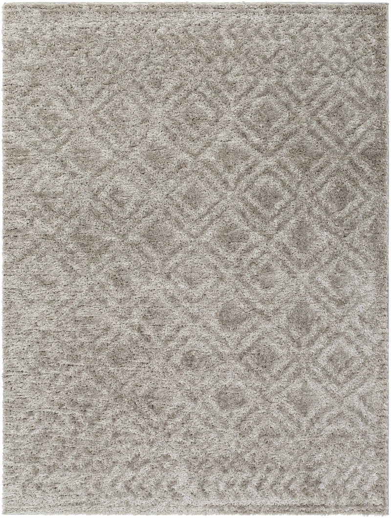 Amnon Area Rug by Boutique Rugs