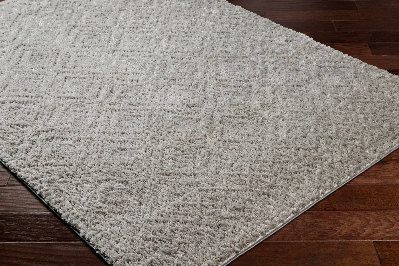Amnon Area Rug by Boutique Rugs