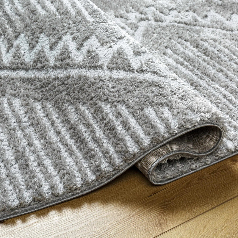 Edsel Gray Area Rug by Boutique Rugs
