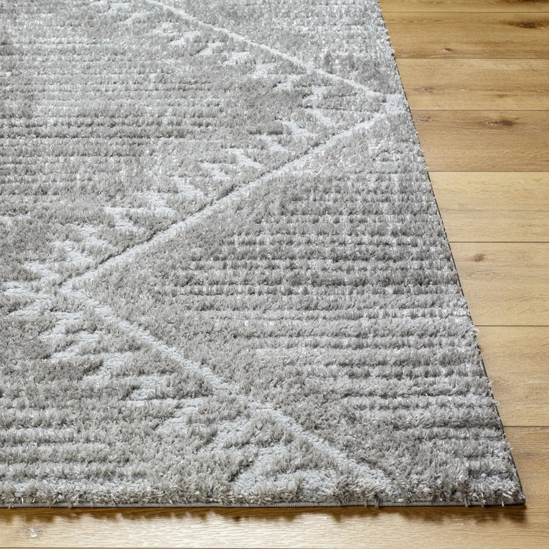 Edsel Gray Area Rug by Boutique Rugs