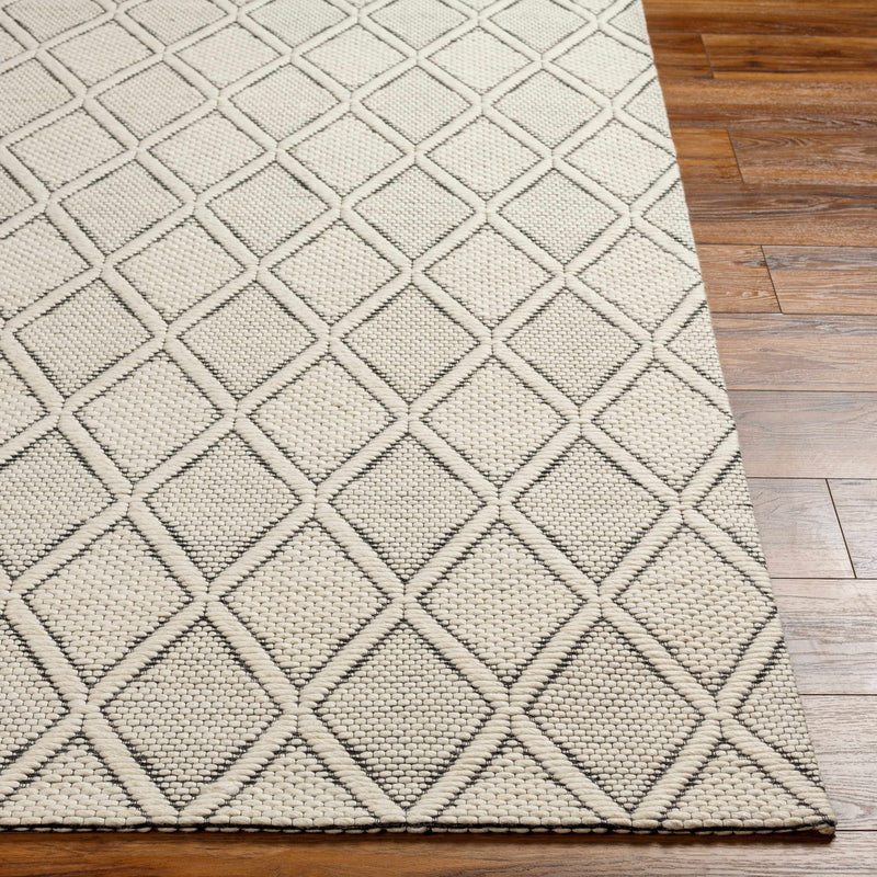 Aeron Area Rug - Clearance by Boutique Rugs