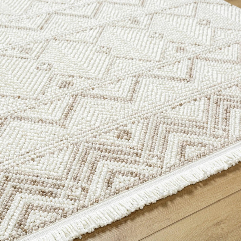Armen Area Rug - Clearance by Boutique Rugs