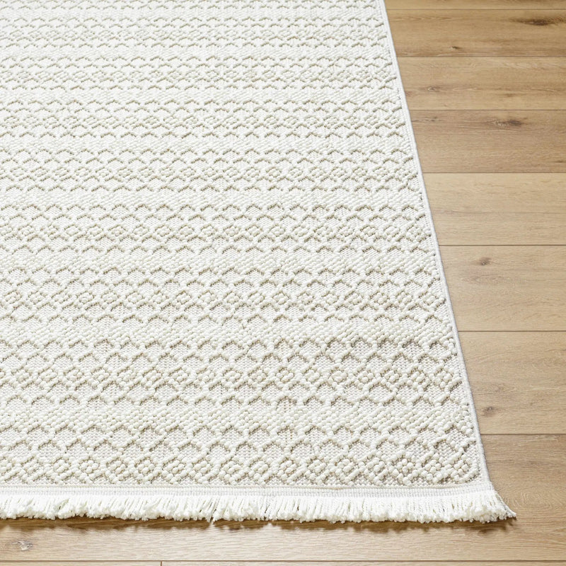 Hamal Area Rug - Clearance by Boutique Rugs