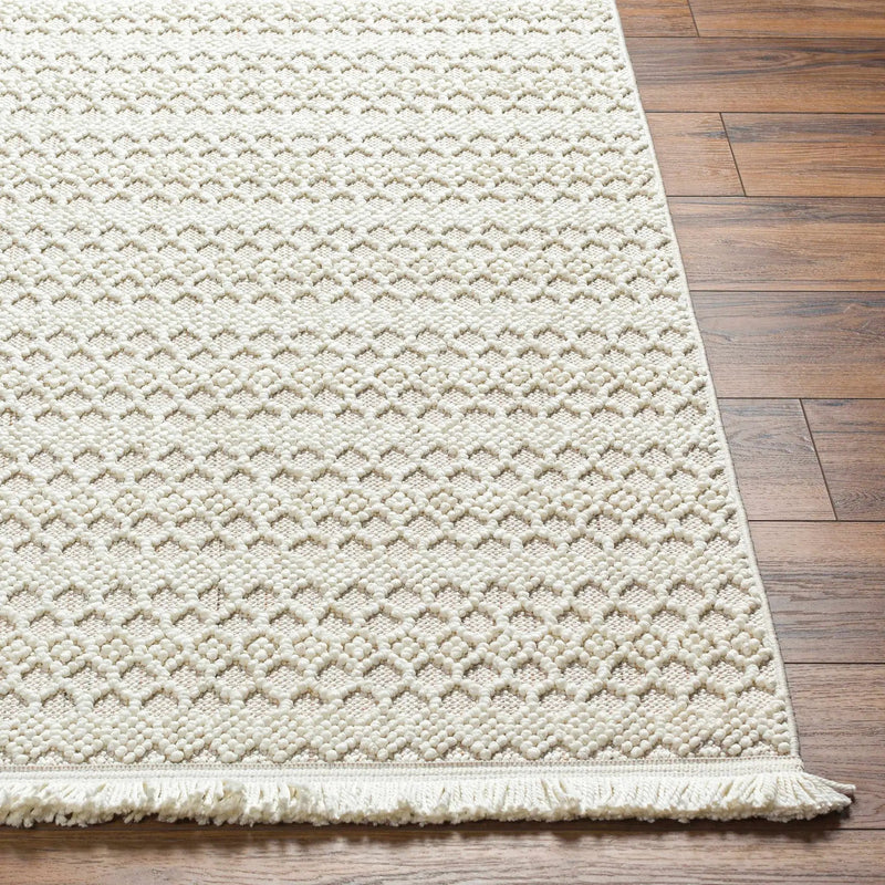 Hamal Area Rug - Clearance by Boutique Rugs