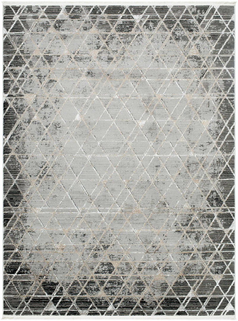 Luol Gray Area Rug - Clearance by Boutique Rugs
