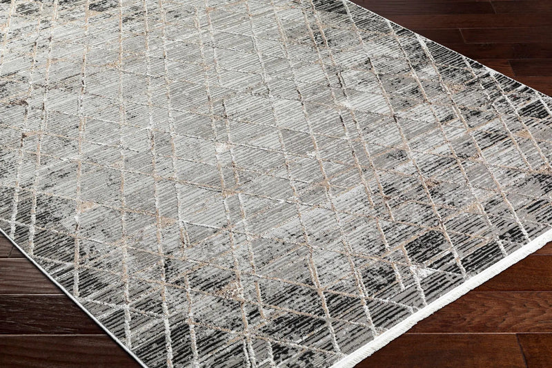 Luol Gray Area Rug - Clearance by Boutique Rugs
