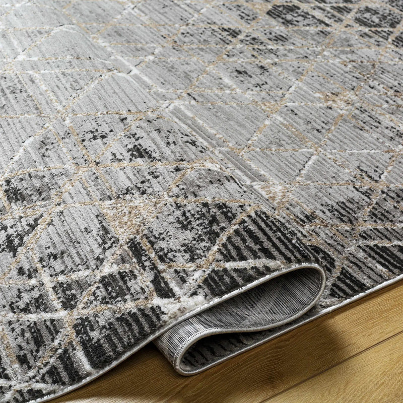 Luol Gray Area Rug - Clearance by Boutique Rugs