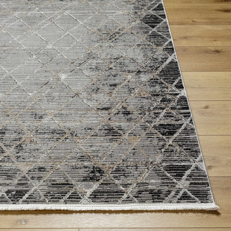 Luol Gray Area Rug - Clearance by Boutique Rugs