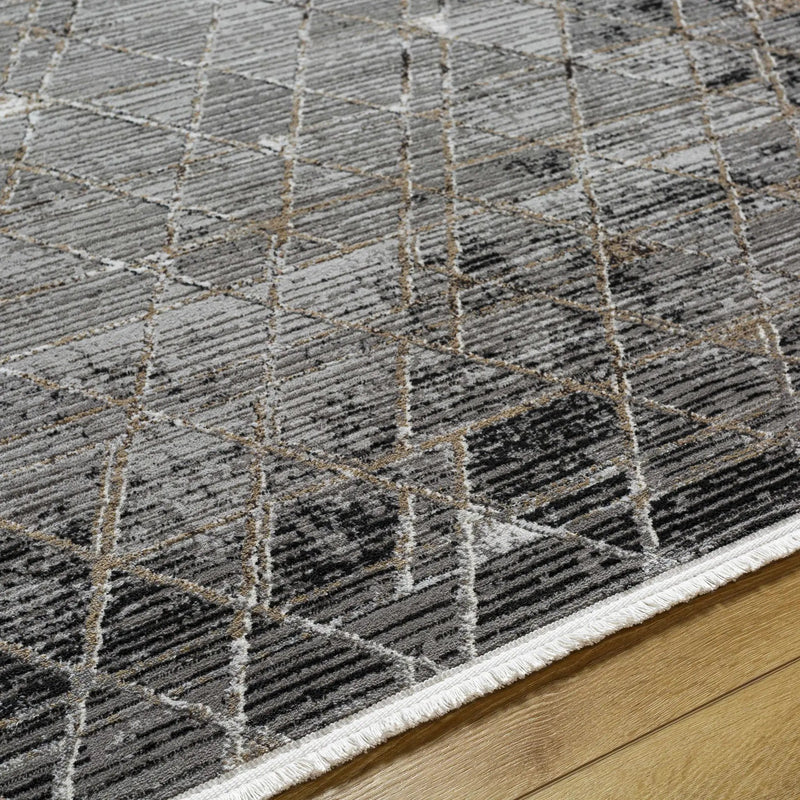 Luol Gray Area Rug - Clearance by Boutique Rugs