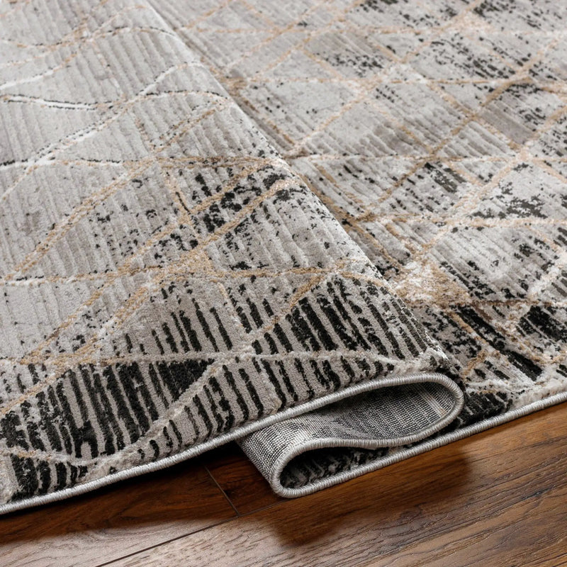 Luol Gray Area Rug - Clearance by Boutique Rugs