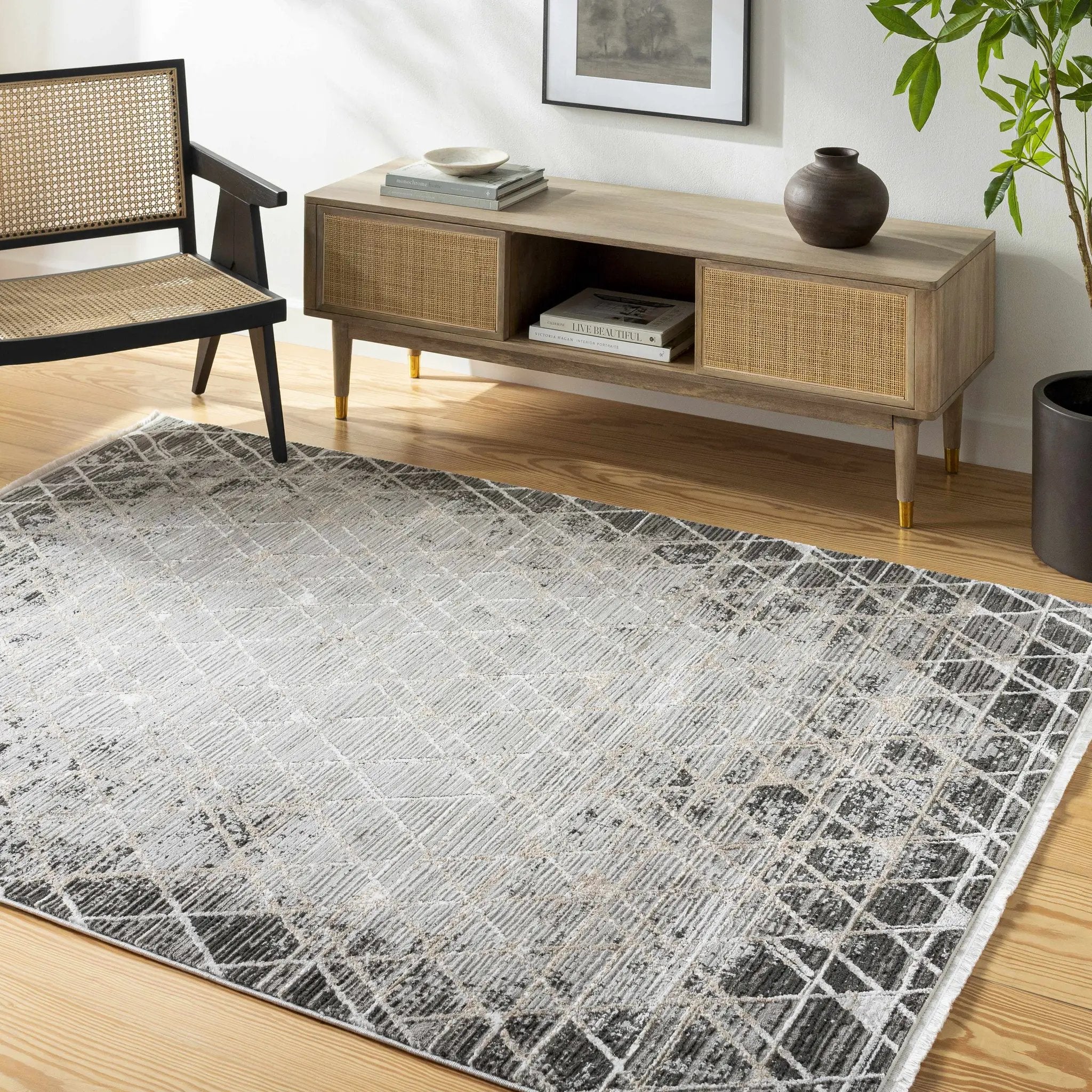 Luol Gray Area Rug - Clearance by Boutique Rugs