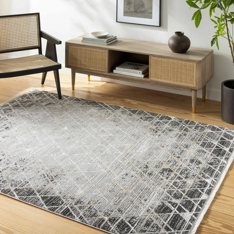 Luol Gray Area Rug - Clearance by Boutique Rugs