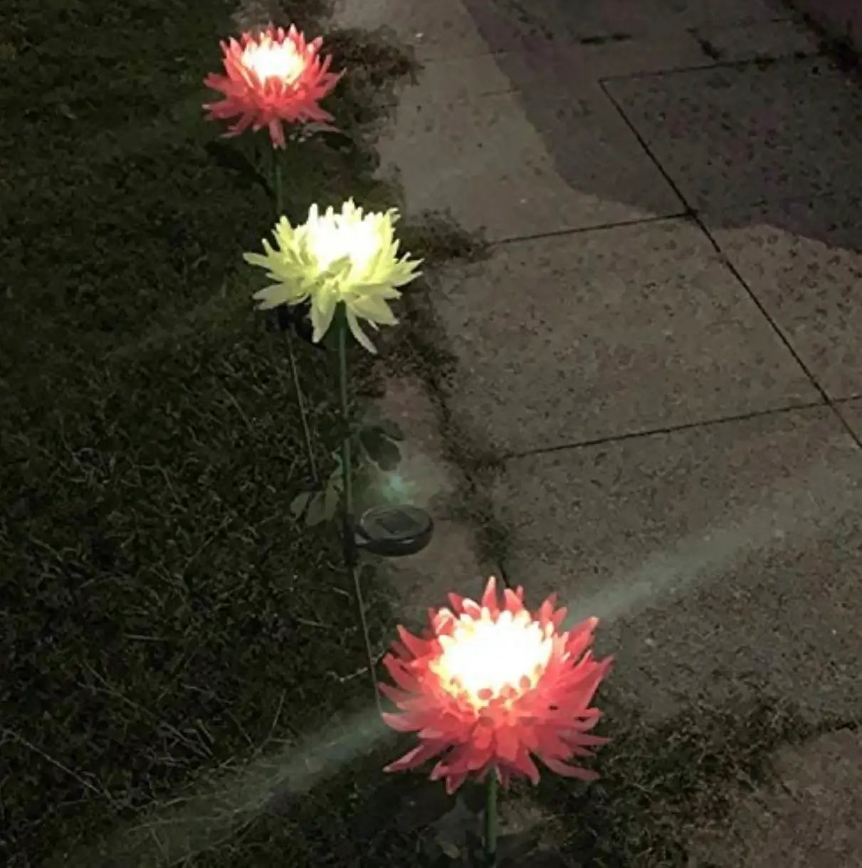 Solar LED Light Artificial Chrysanthemum Flower (3 Pack) by Outdoor Solar Outlet