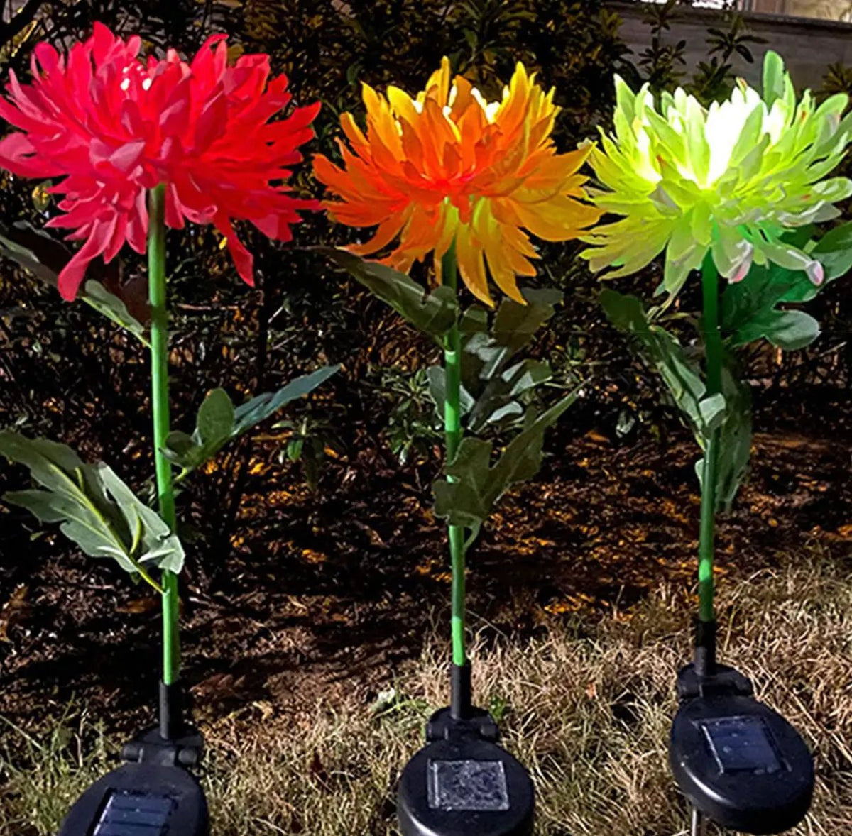 Solar LED Light Artificial Chrysanthemum Flower (3 Pack) by Outdoor Solar Outlet