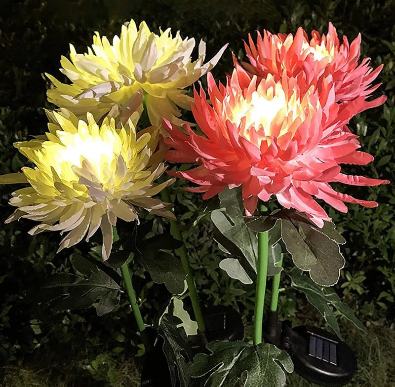 Solar LED Light Artificial Chrysanthemum Flower (3 Pack) by Outdoor Solar Outlet