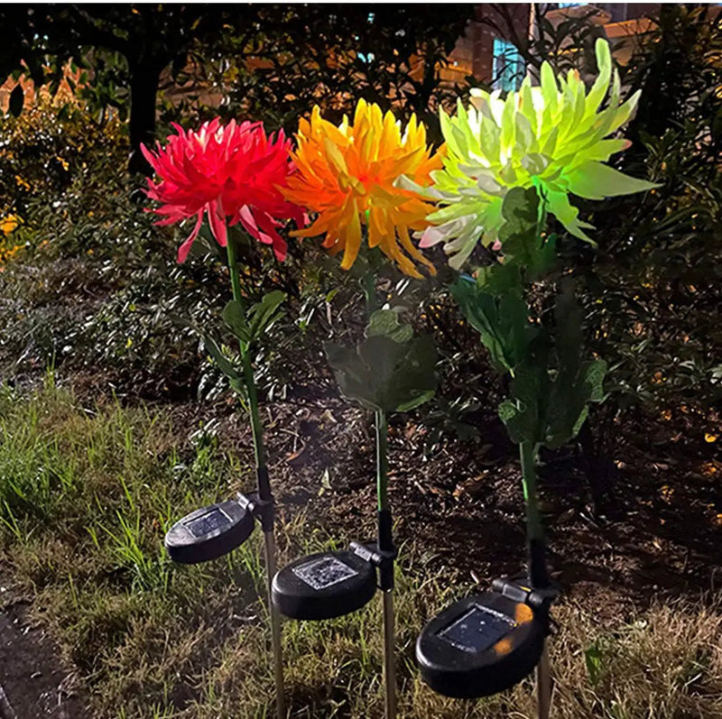 Solar LED Light Artificial Chrysanthemum Flower (3 Pack) by Outdoor Solar Outlet