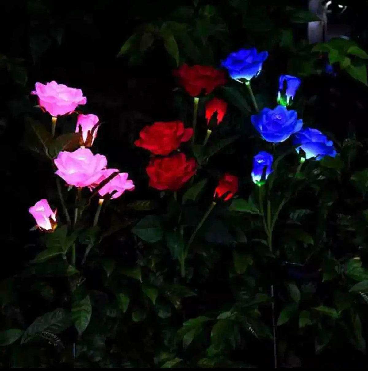 Solar LED Rose Flower Light (2 Pack) by Outdoor Solar Outlet
