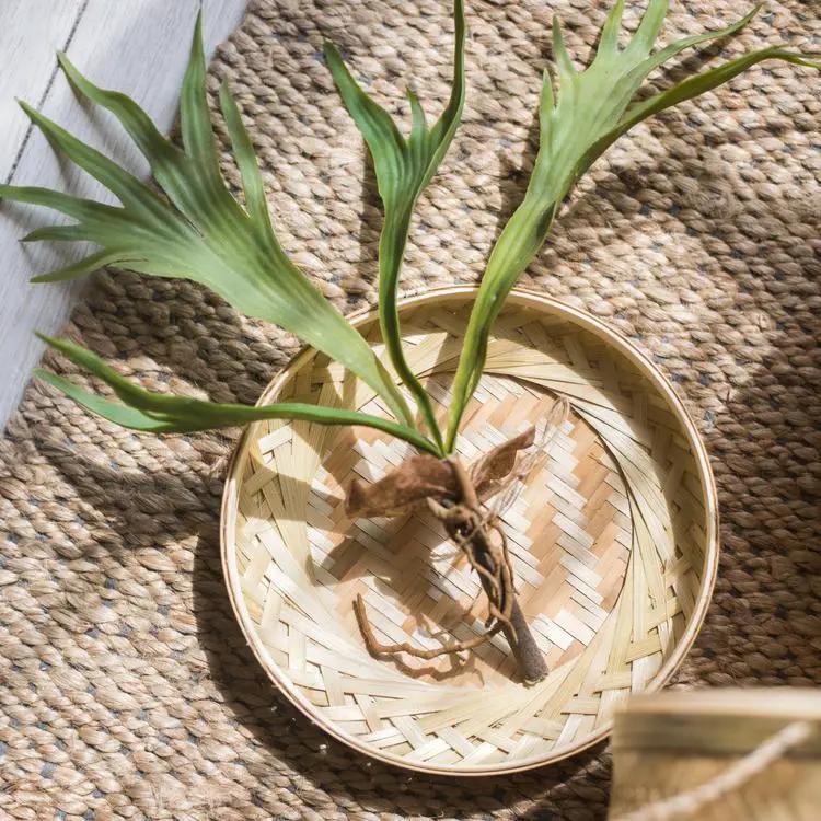 Southeast Asia Round Bamboo Tea Box Jar by RusticReach