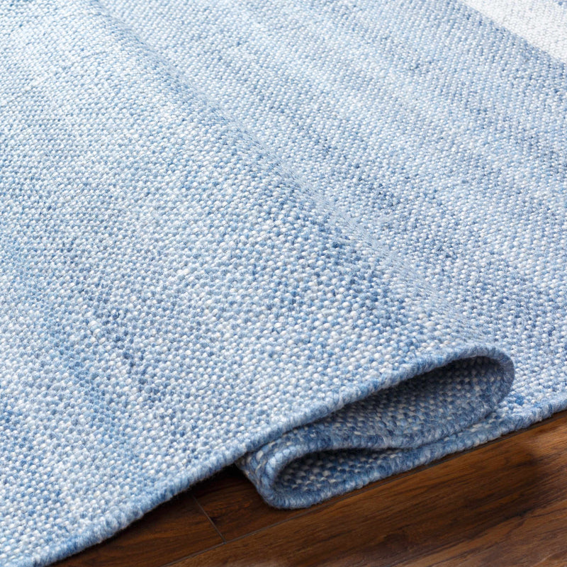 Loic Silver Blue Area Rug by Boutique Rugs