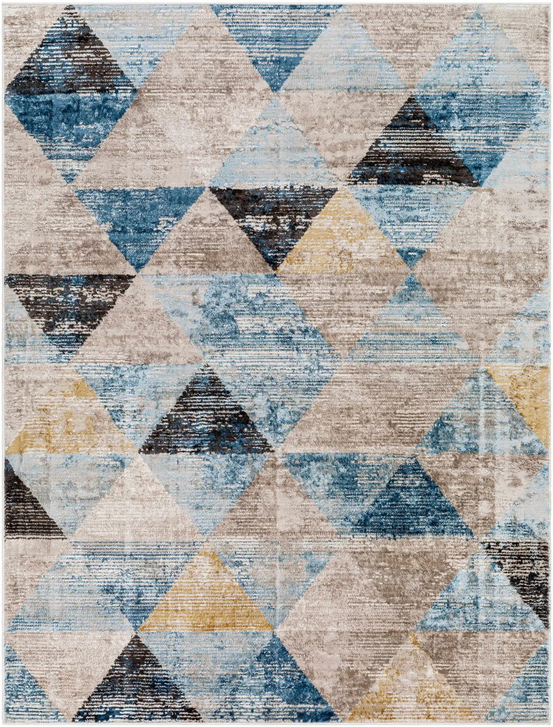 Hanif Area Rug - Clearance by Boutique Rugs