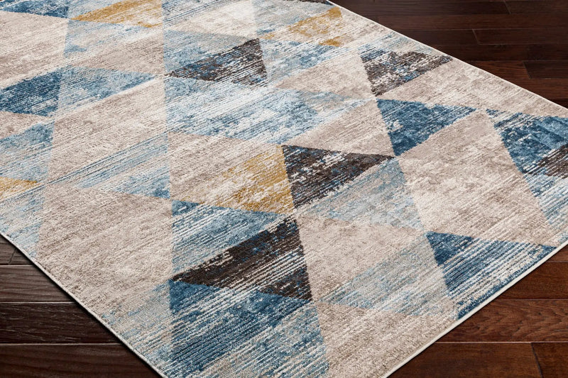 Hanif Area Rug - Clearance by Boutique Rugs