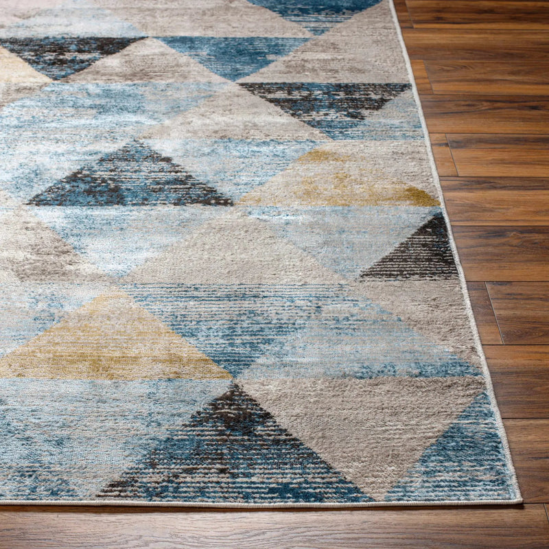 Hanif Area Rug - Clearance by Boutique Rugs