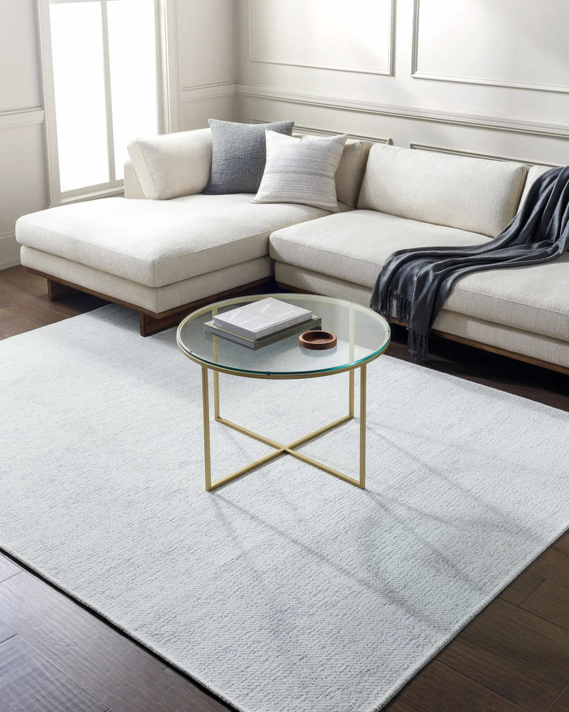 Isako Cream & Gray Solid Washable Area Rug - Clearance by Boutique Rugs