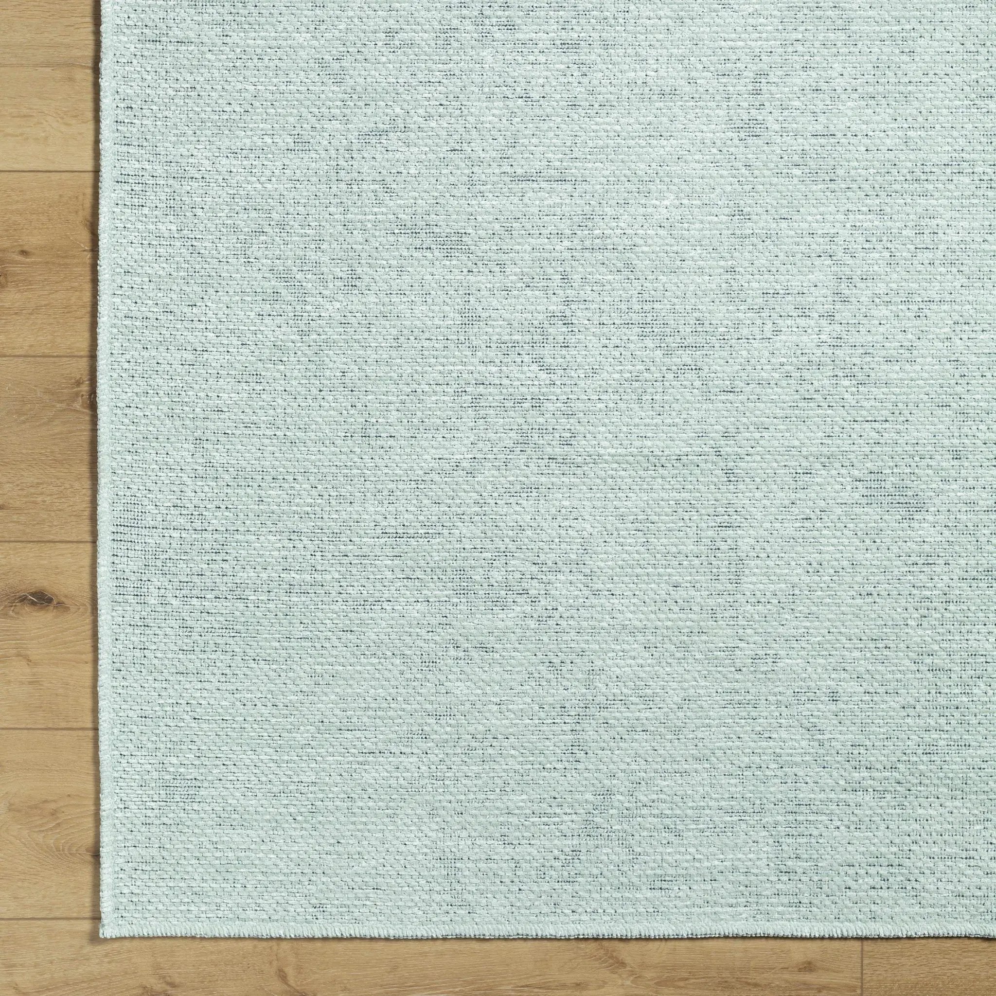 Isako Seafoam Solid Washable Area Rug - Clearance by Boutique Rugs