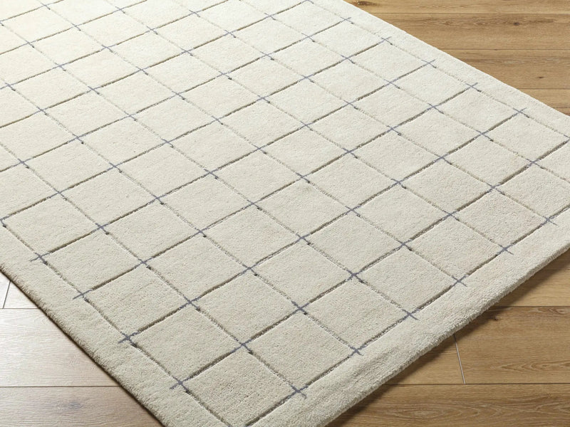 Sanvi Tan Area Rug by Boutique Rugs
