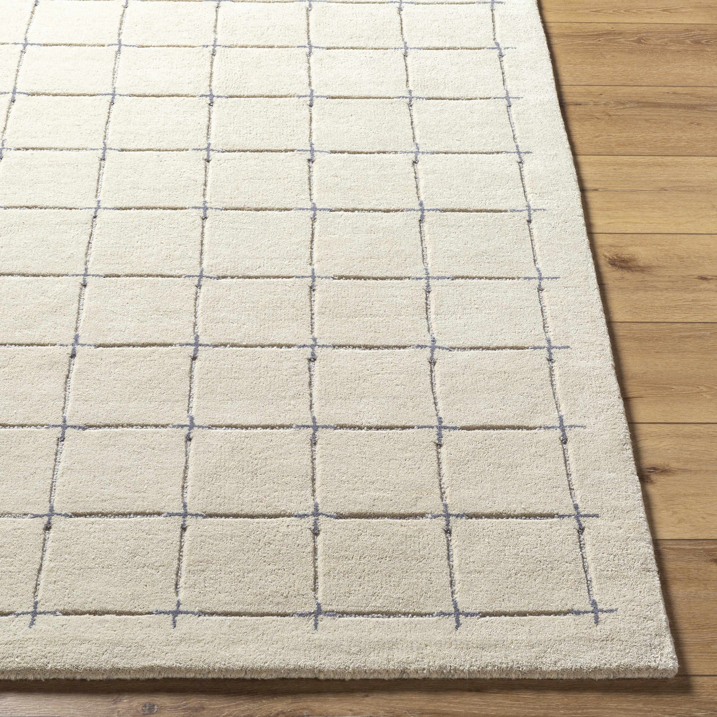Sanvi Tan Area Rug by Boutique Rugs