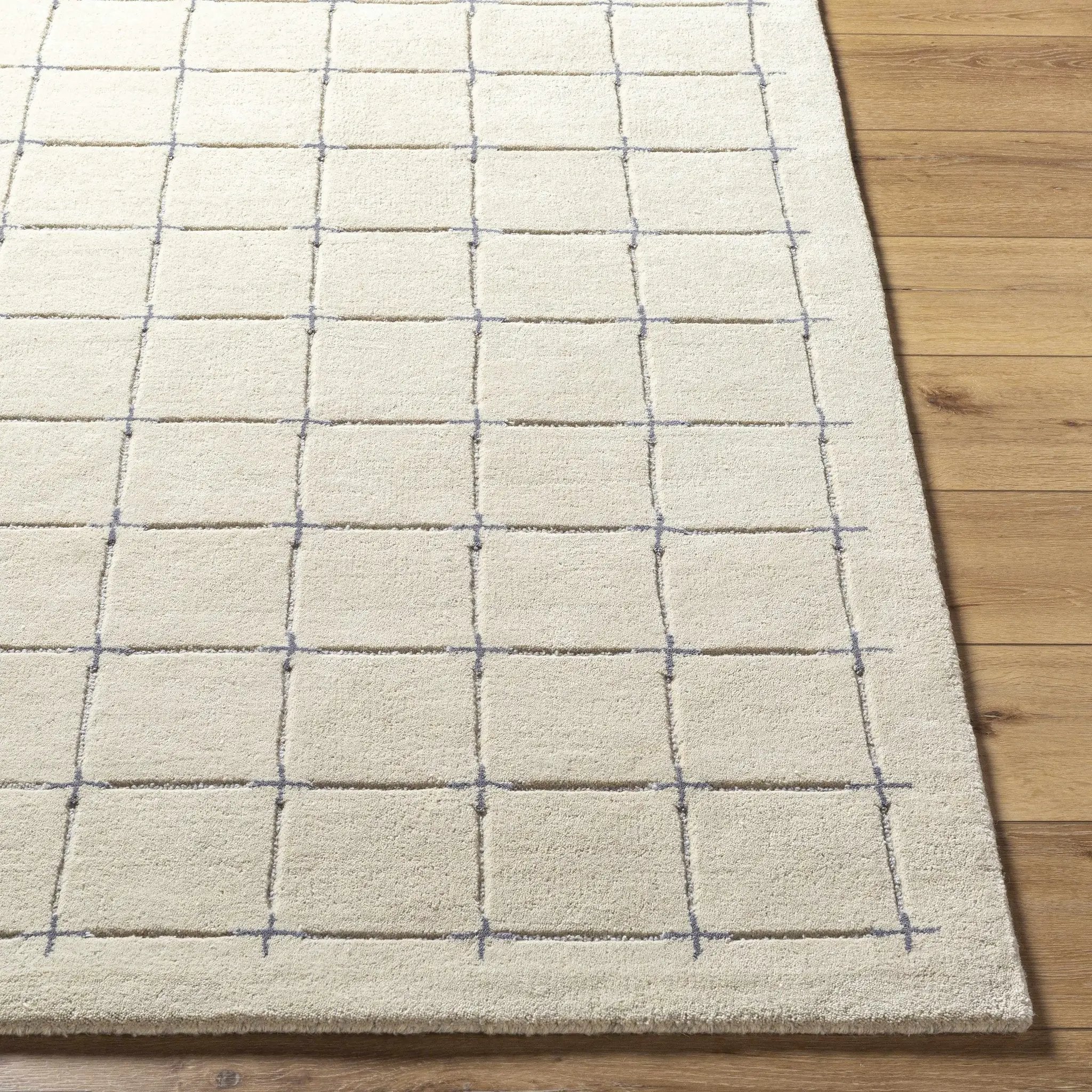 Sanvi Tan Area Rug by Boutique Rugs