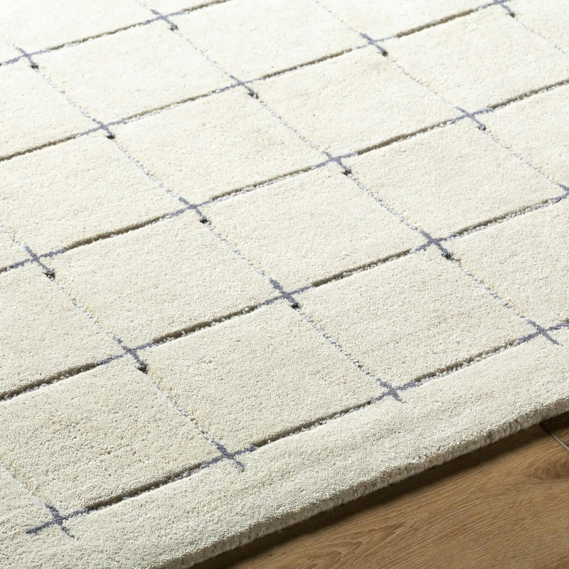 Sanvi Tan Area Rug by Boutique Rugs