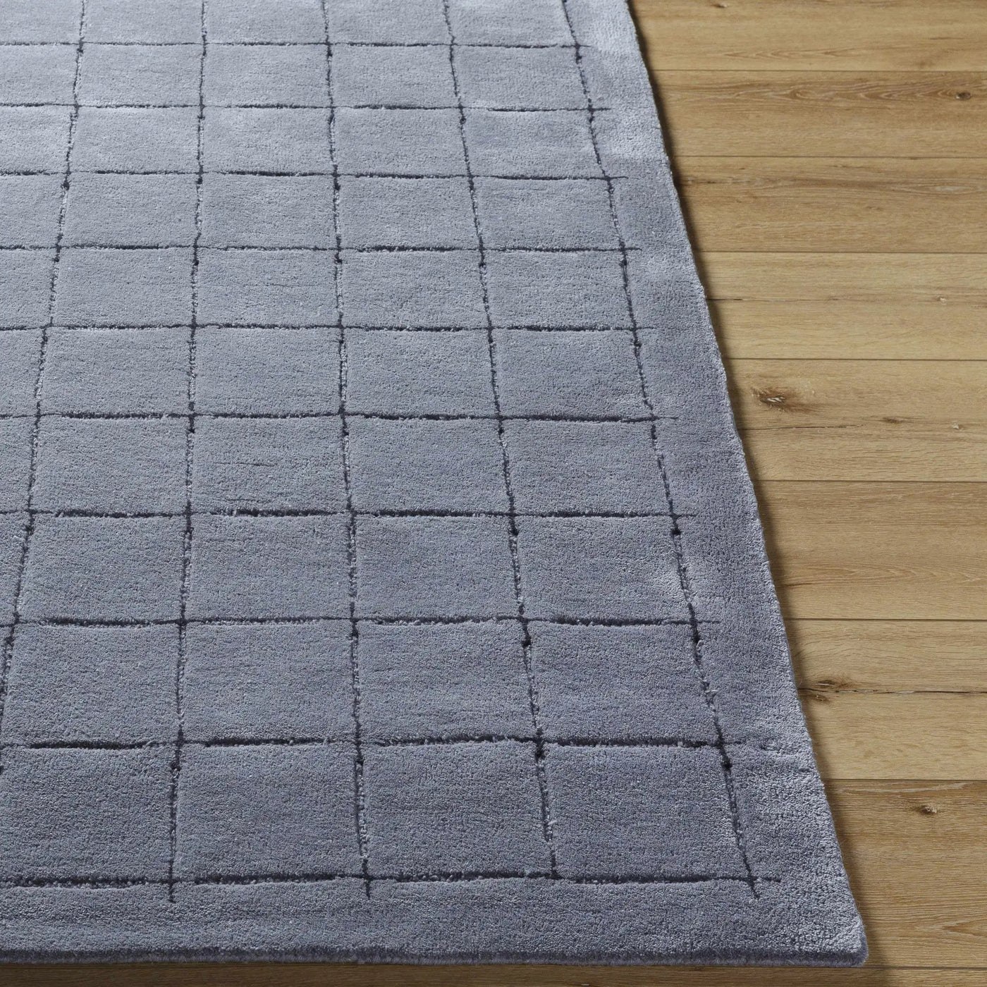 Sanvi Charcoal Area Rug by Boutique Rugs