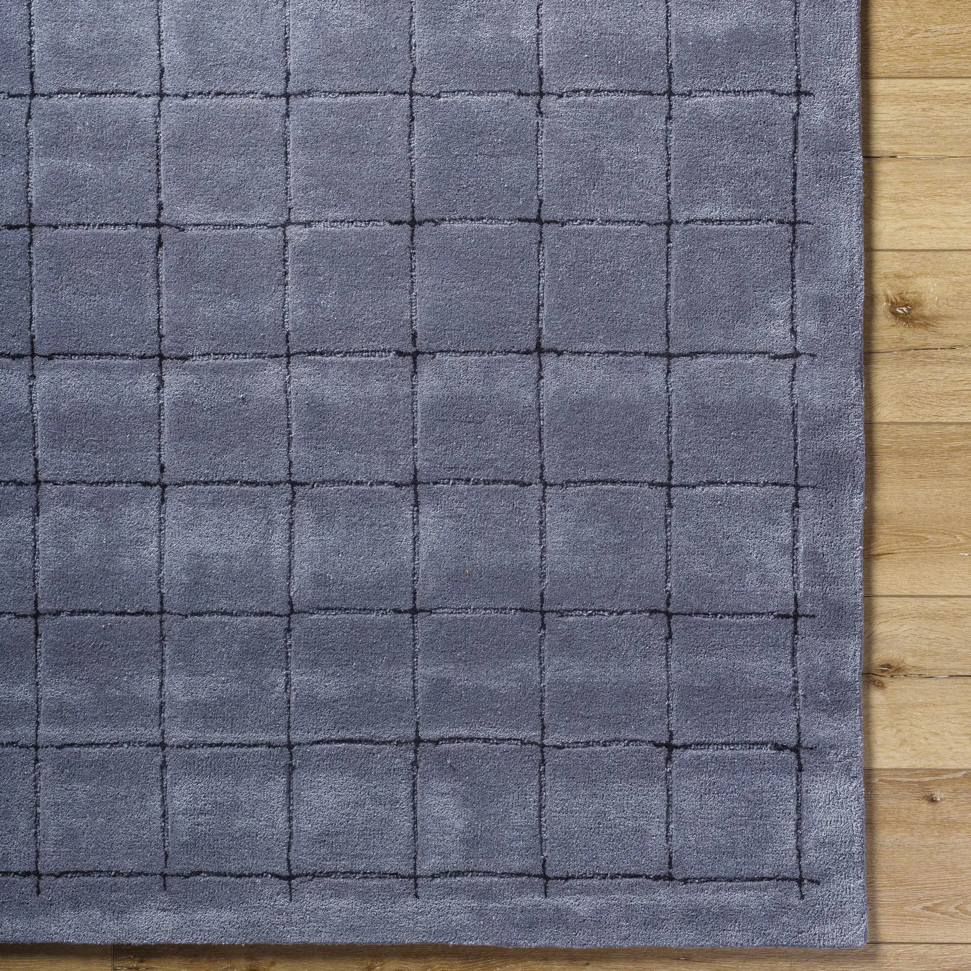 Sanvi Charcoal Area Rug by Boutique Rugs