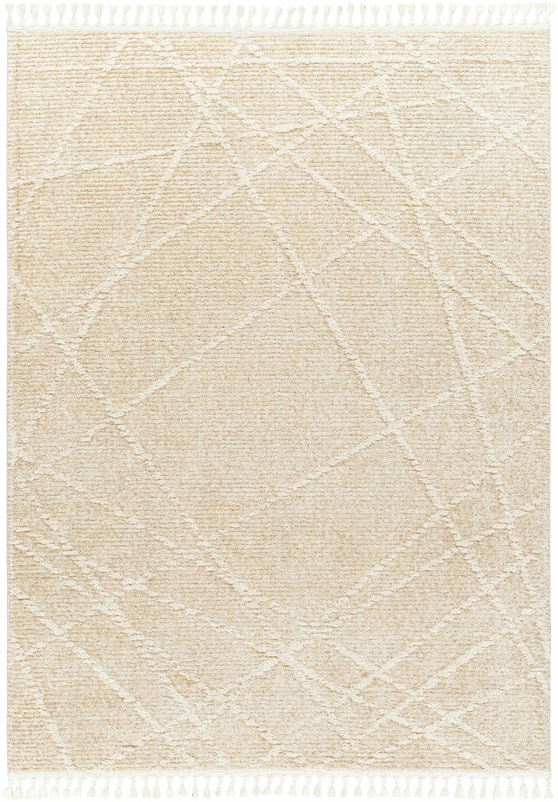Hosea Cream Area Rug - Clearance by Boutique Rugs