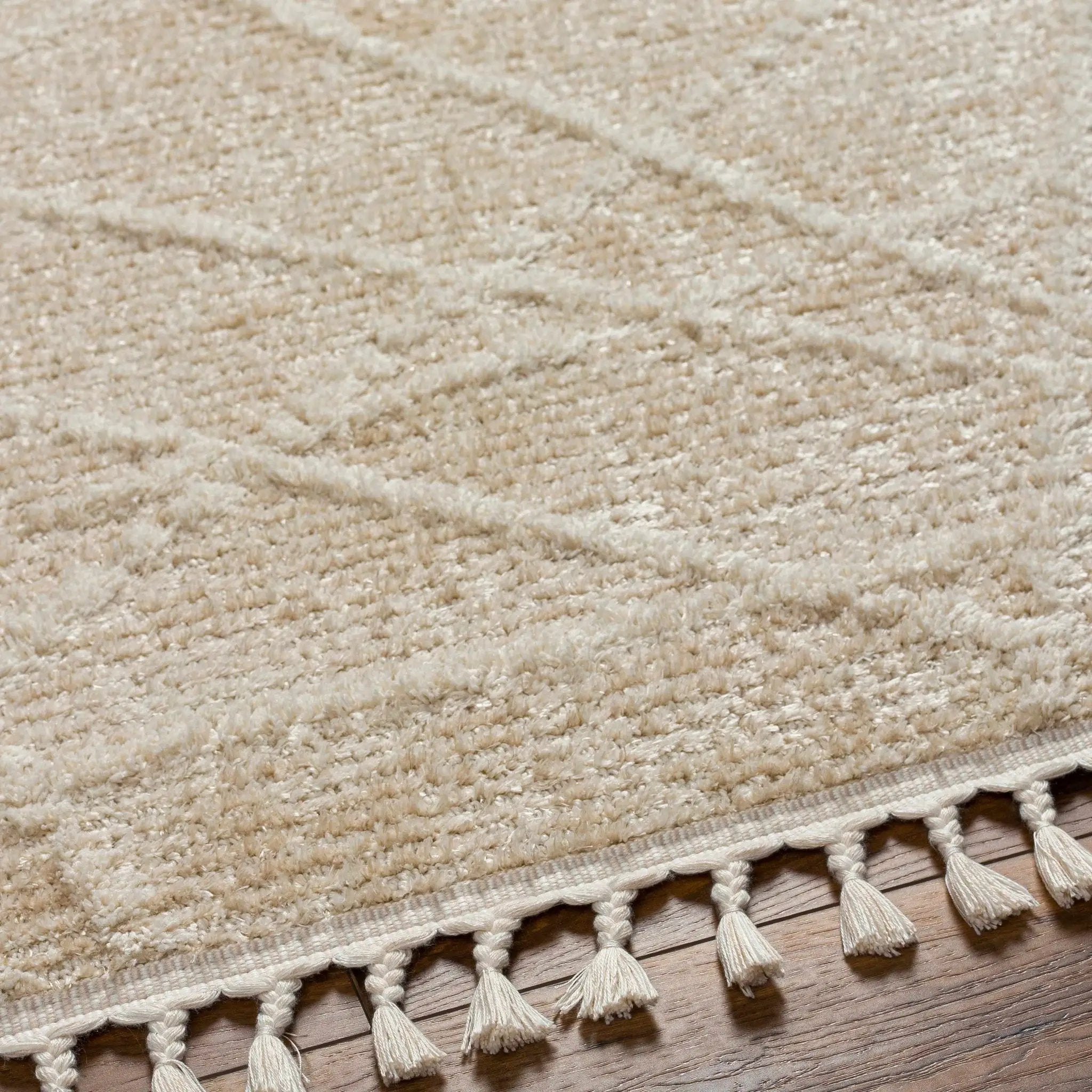 Hosea Cream Area Rug - Clearance by Boutique Rugs