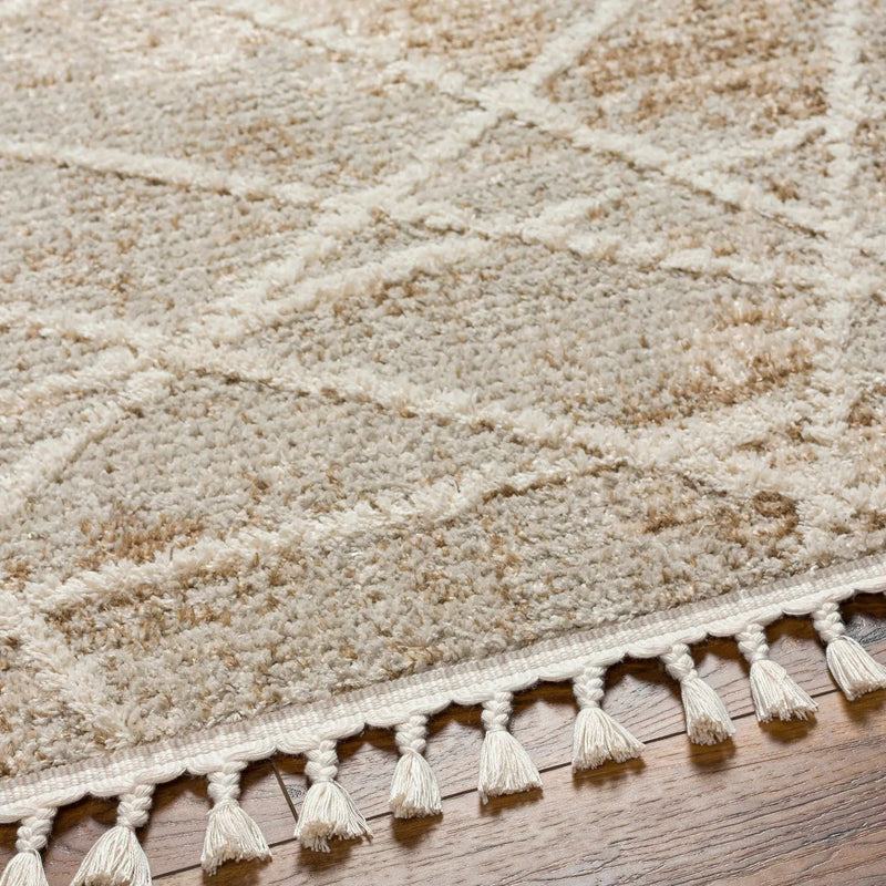 Hosea Brown Area Rug - Clearance by Boutique Rugs