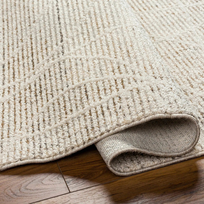 Huong Area Rug - Clearance by Boutique Rugs
