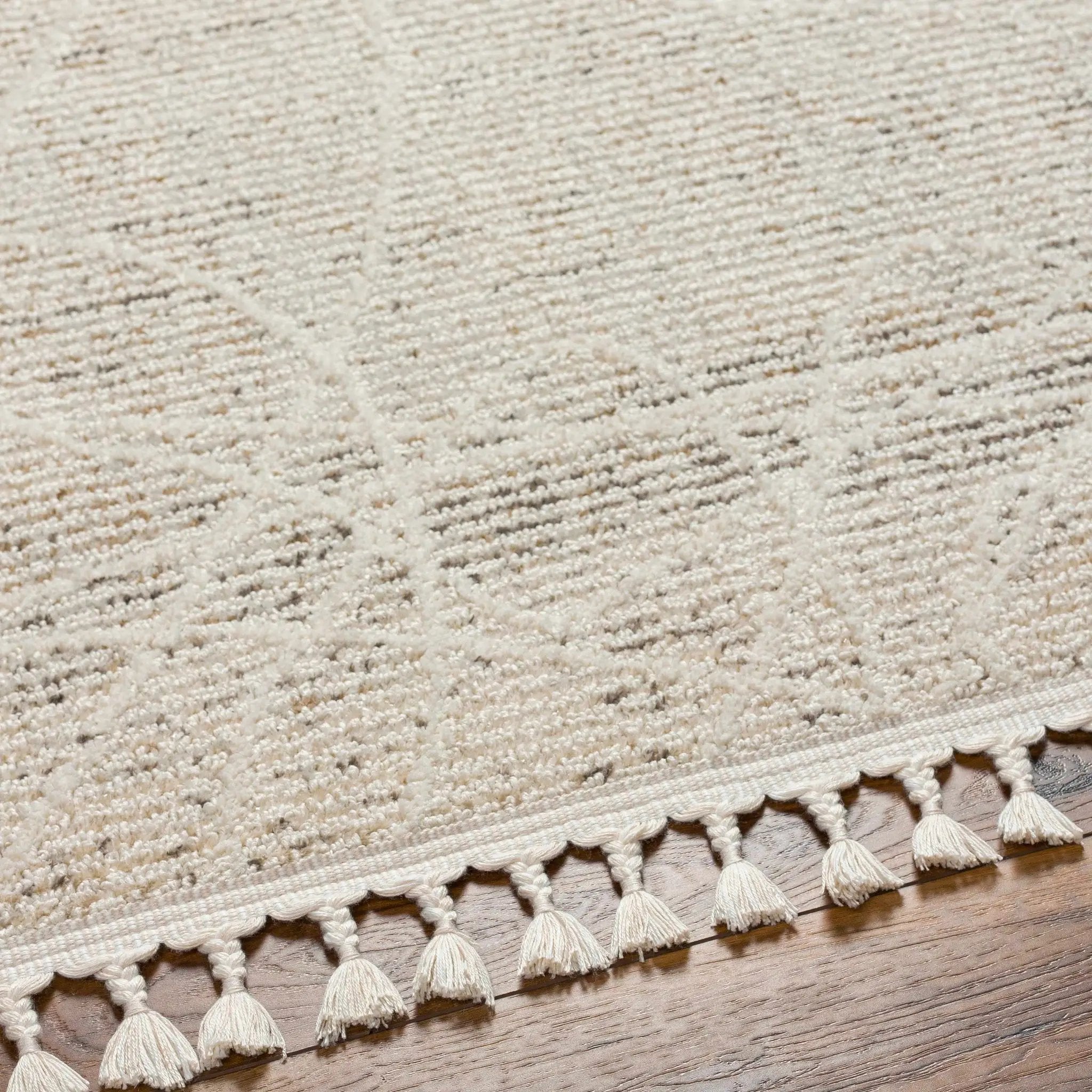 Huong Area Rug - Clearance by Boutique Rugs