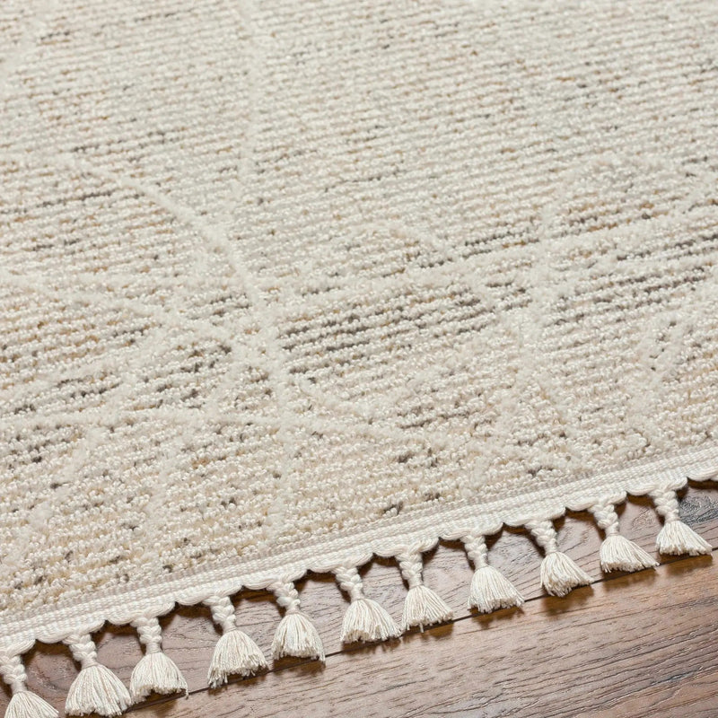 Huong Area Rug - Clearance by Boutique Rugs