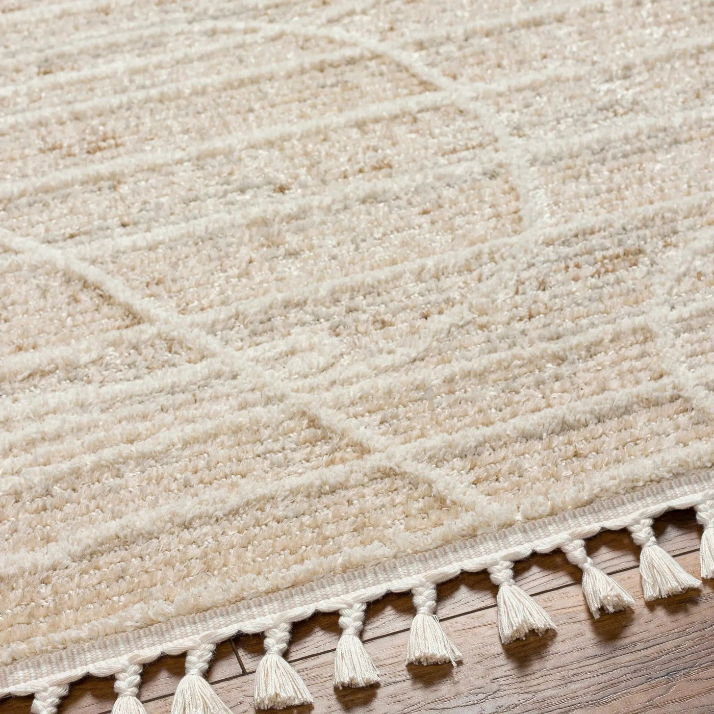 Inaya Area Rug - Clearance by Boutique Rugs