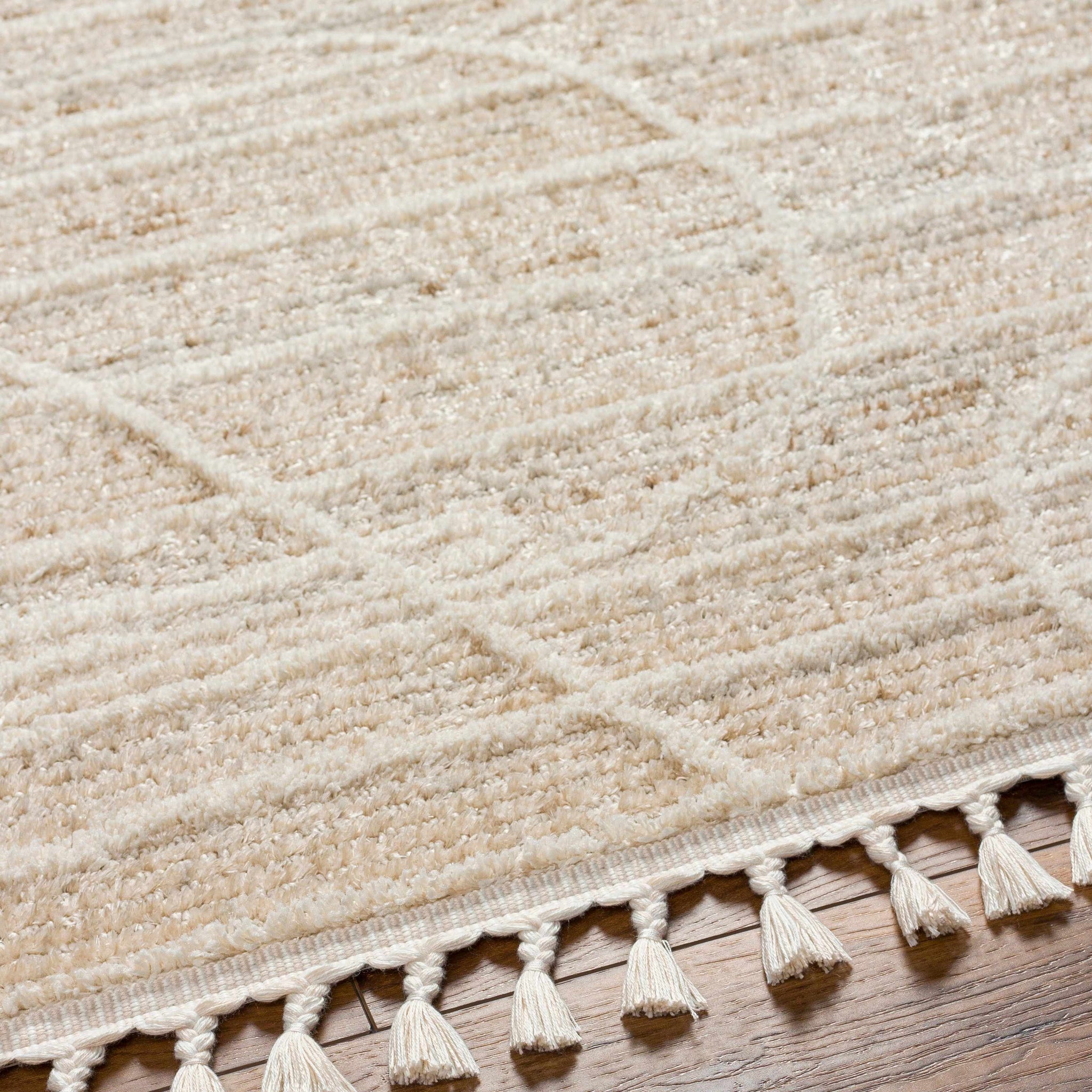Inaya Area Rug - Clearance by Boutique Rugs