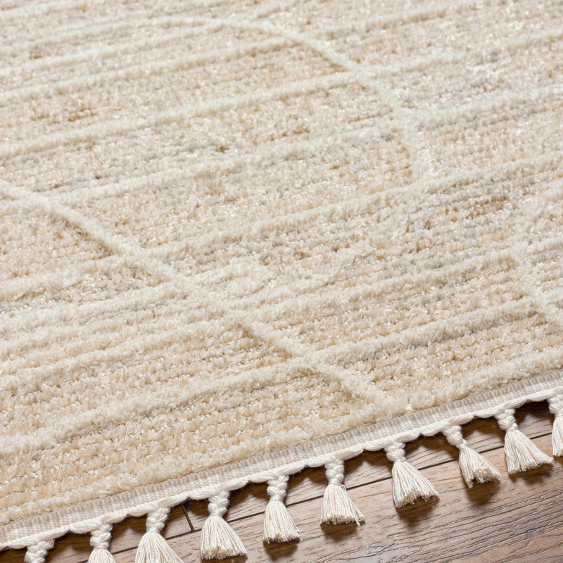Inaya Area Rug - Clearance by Boutique Rugs